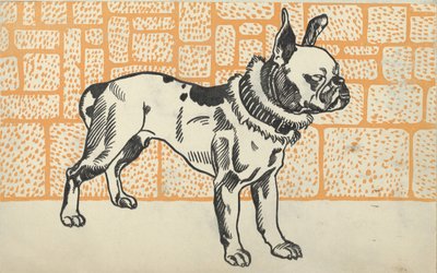 Pitbull Terrier, 1912 - Moritz Jung