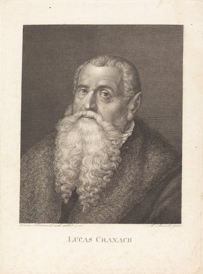 Lucas Cranach - Moritz Steinla