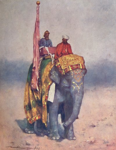 Un éléphant des déserts sablonneux du Rajputana - Mortimer L Menpes