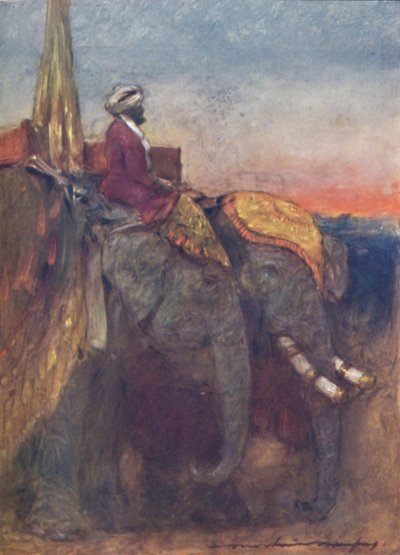 Éléphants de Jaipur, 1903 - Mortimer L Menpes