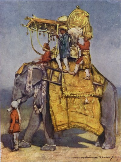 Un éléphant d