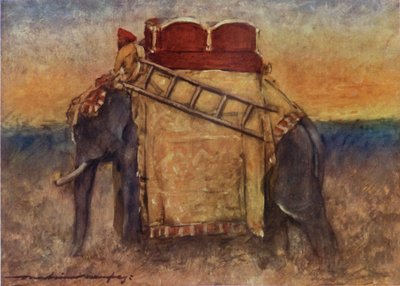 Un éléphant de l