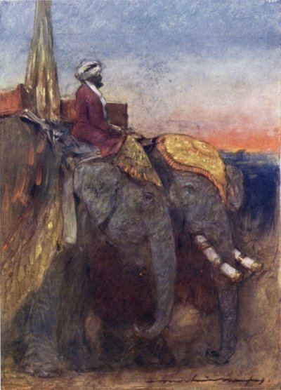 Éléphants de Jaipur - Mortimer Ludington Menpes