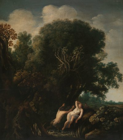 Une nymphe surprise à son bain par un satyre - Moyses van Wtenbrouck