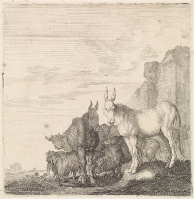 Ânes près d