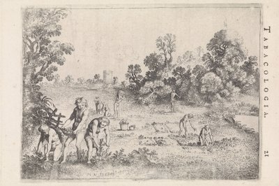Amérindiens cueillant du tabac - Moyses van Wtenbrouck