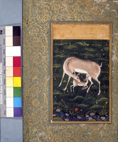Une biche nourrissant son faon, c.1560 - Mughal School