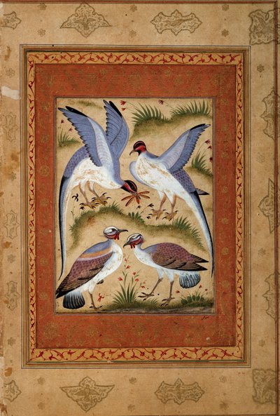 Oiseaux. Miniature gouache de l