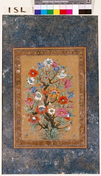 Plante mythique - Mughal School