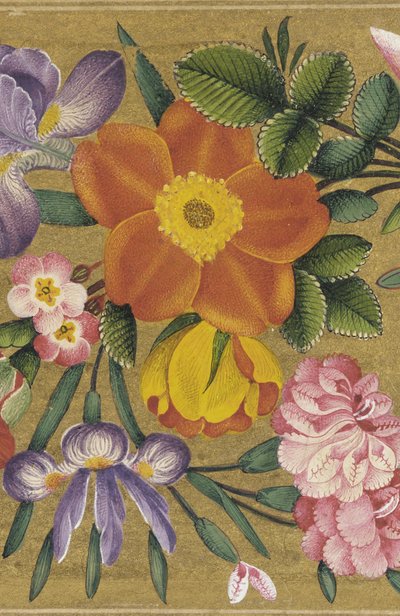 Page de l