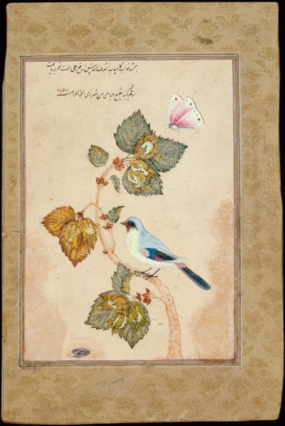 Un oiseau sur une branche de noisetier - Muhammad Shafi Abbasi