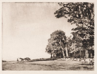 Hampstead Heath - Muirhead Bone
