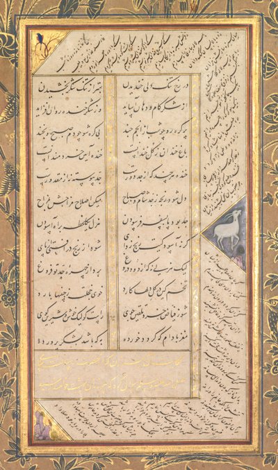 Page d