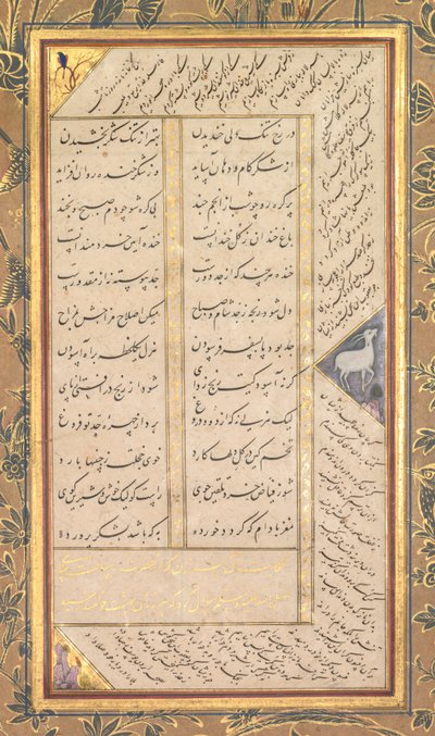 Page d