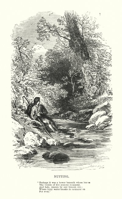 William Wordsworth : Nutting - Myles Birket (after) Foster