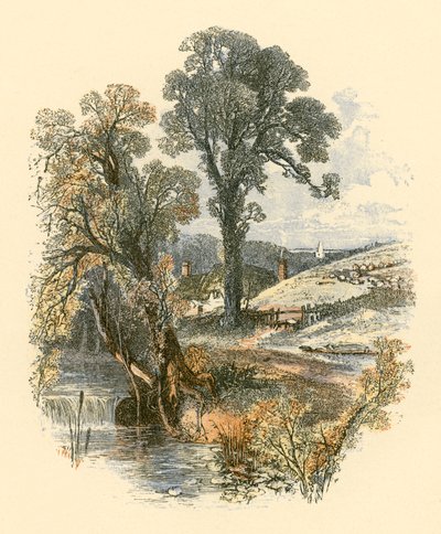 Beautés de la nature - Myles Birket Foster