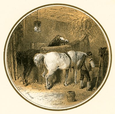 Chevaux dans l
