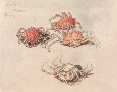 Études de crabes-araignées, Venise - Myles Birket Foster