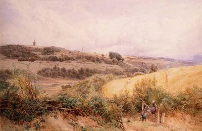 Paysage d