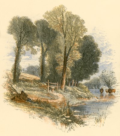 Promenades du dimanche - Myles Birket Foster