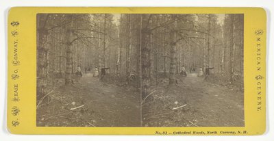 Bois de la cathédrale, North Conway, N.H. - N.W. Pease