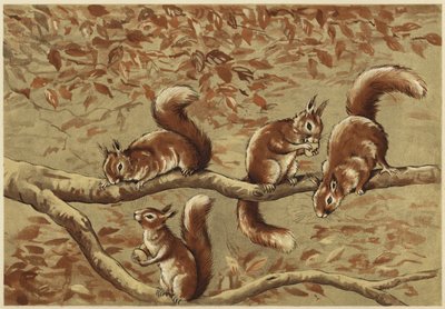 Groupe familial - N. Parker