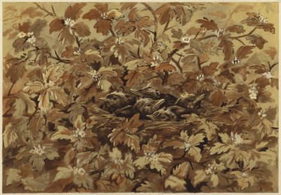 Le merle à la maison - N. Parker