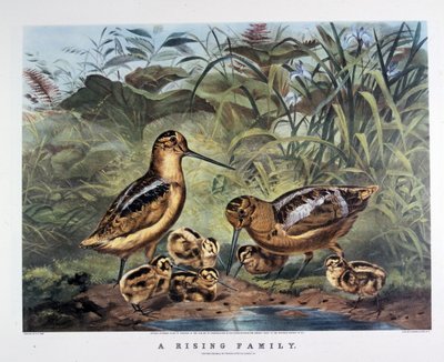 Une famille se levant. Par Arthur Tait. 1857 - N. and Ives J.M. (1824 95) Currier