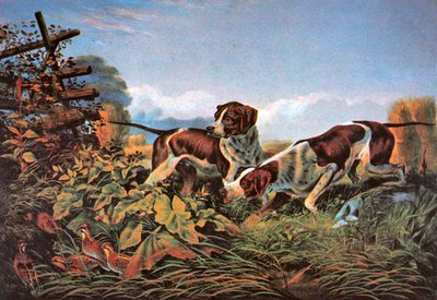 Sports de plein air américains : Sur un point - Currier and Ives