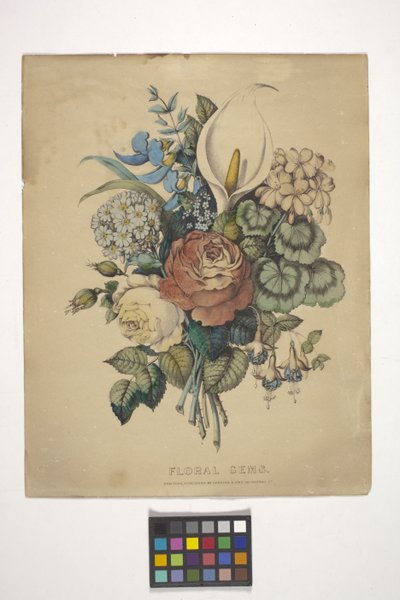 Gems floraux - N. and Ives J.M. (1824 95) Currier