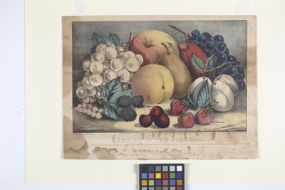 Fruits de la saison - N. and Ives J.M. (1824 95) Currier
