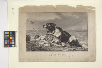 Il est sauvé - N. and Ives J.M. (1824 95) Currier