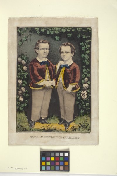 Petits Frères - N. and Ives J.M. (1824 95) Currier