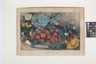 Fraises - N. and Ives J.M. (1824 95) Currier
