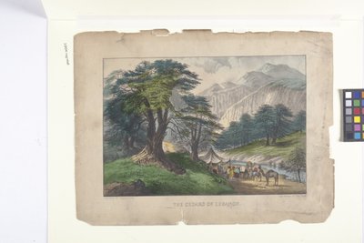 Les cèdres du Liban - N. and Ives J.M. (1824 95) Currier