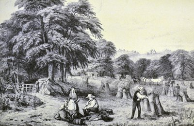 Récolte - N. and Ives, J.M. Currier