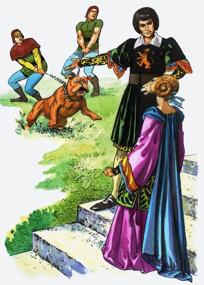 Contes de fées de nombreux pays : Le lézard des fées - Nadir Quinto