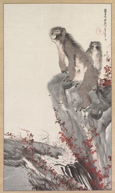 Singes près d