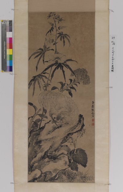 Coq sur un rocher, parmi les fleurs - Naiqi Zhang