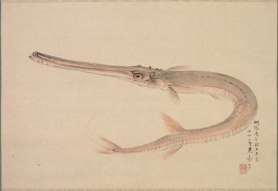 Poisson-aiguille (Yagara) - Nakajima Raishō