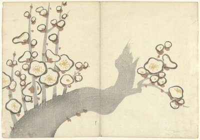 Fleurs de prunier - Nakamura Hochu
