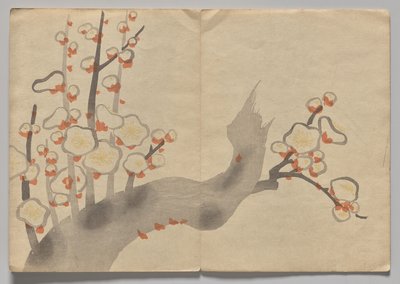 Scène du Livre d
