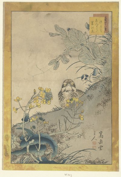 Jeune grive, pois en fleur et colza (Achtenveertig schetsen) - Nakayama Sugakudo