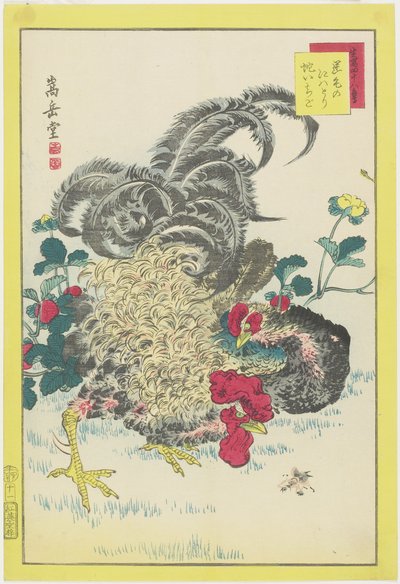 Coq et framboises - Nakayama Sugakudo
