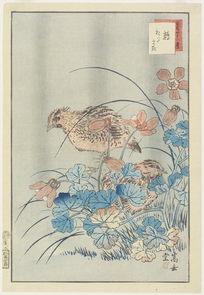 Deux cailles dans un buisson - Nakayama Sugakudo