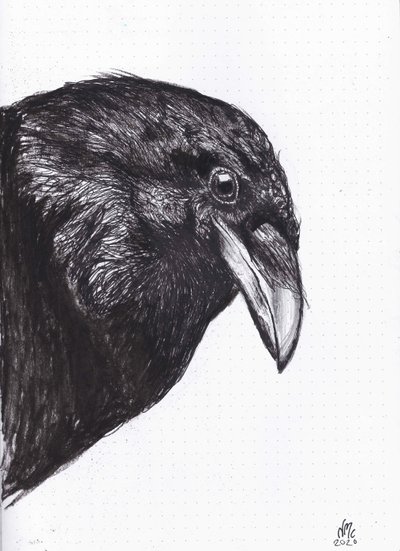 Corbeau ou corneille - Nancy Moniz Charalambous