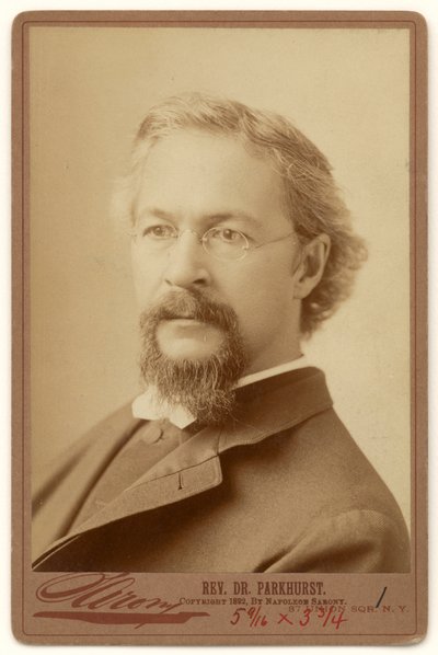 Charles Henry Parkhurst - Napoleon Sarony