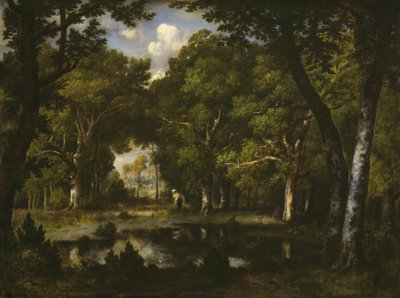 Étang dans les bois, 1862 - Narcisse Virgile Diaz de la Peña