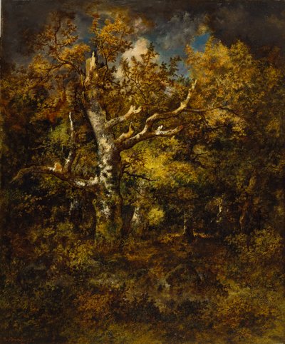 Forêt de Fontainebleau, automne - Narcisse Virgile Diaz de la Peña