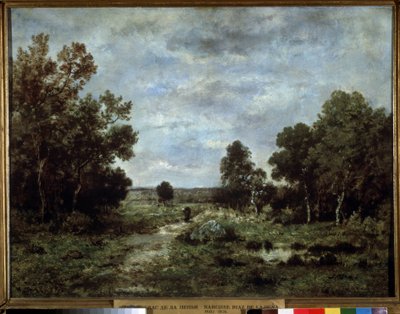 Paysage d